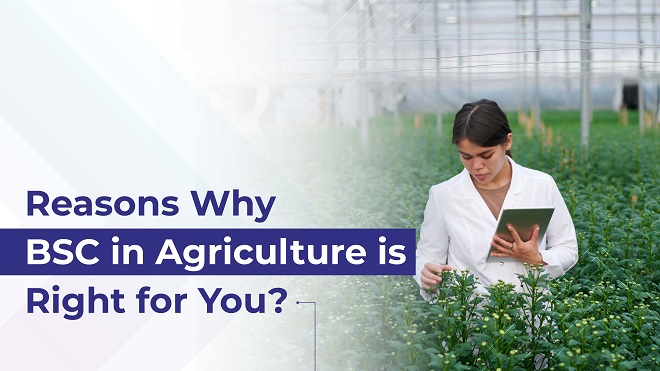 REASONS WHY BSC IN AGRICULTURE IS RIGHT FOR YOU?